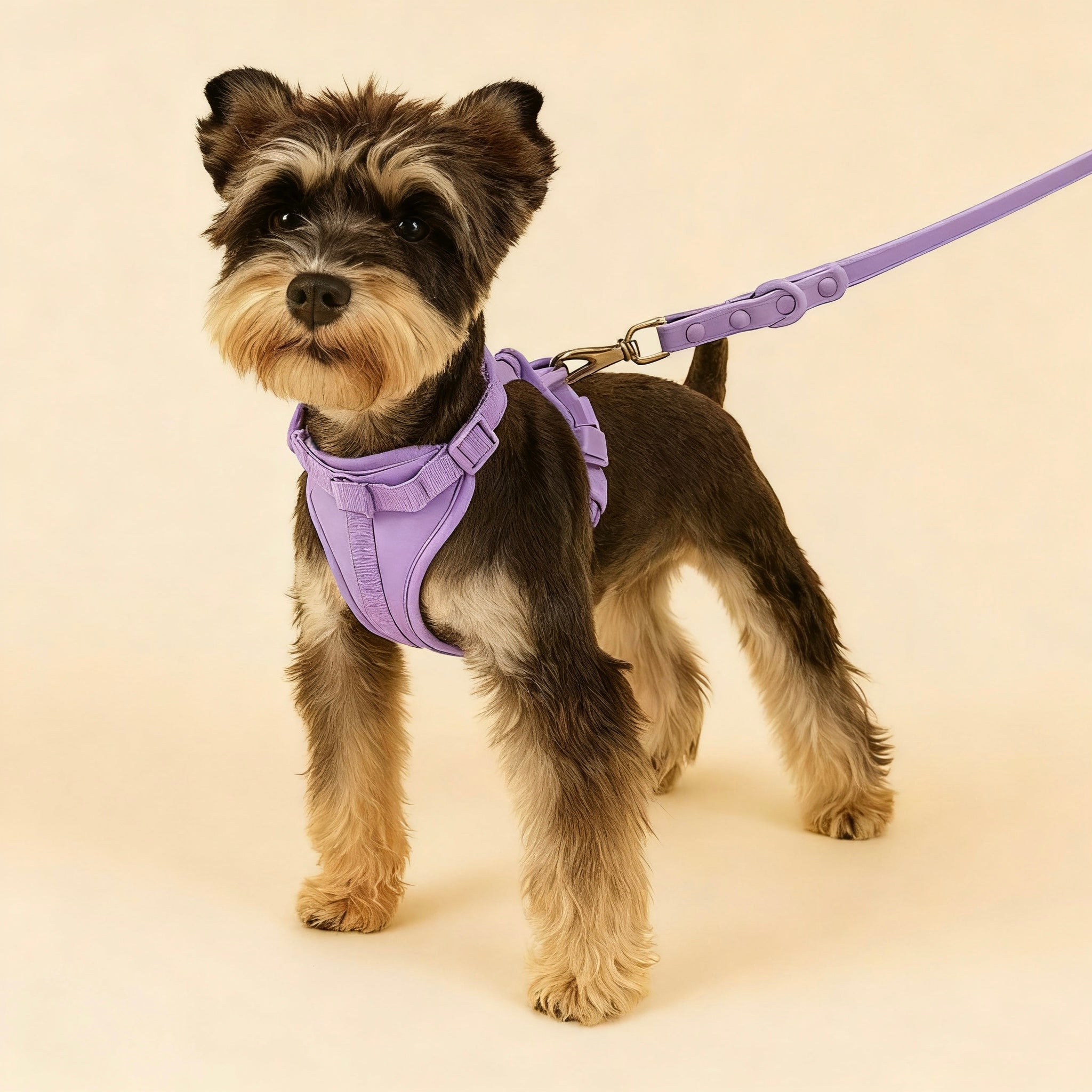 Waterproof PVC Walk Set — 4‑Piece (Harness + Leash + Collar + Waste-Bag Holder)  | Odor-Resistant, Easy-Clean, Anti-Slip Grip(XS–L)