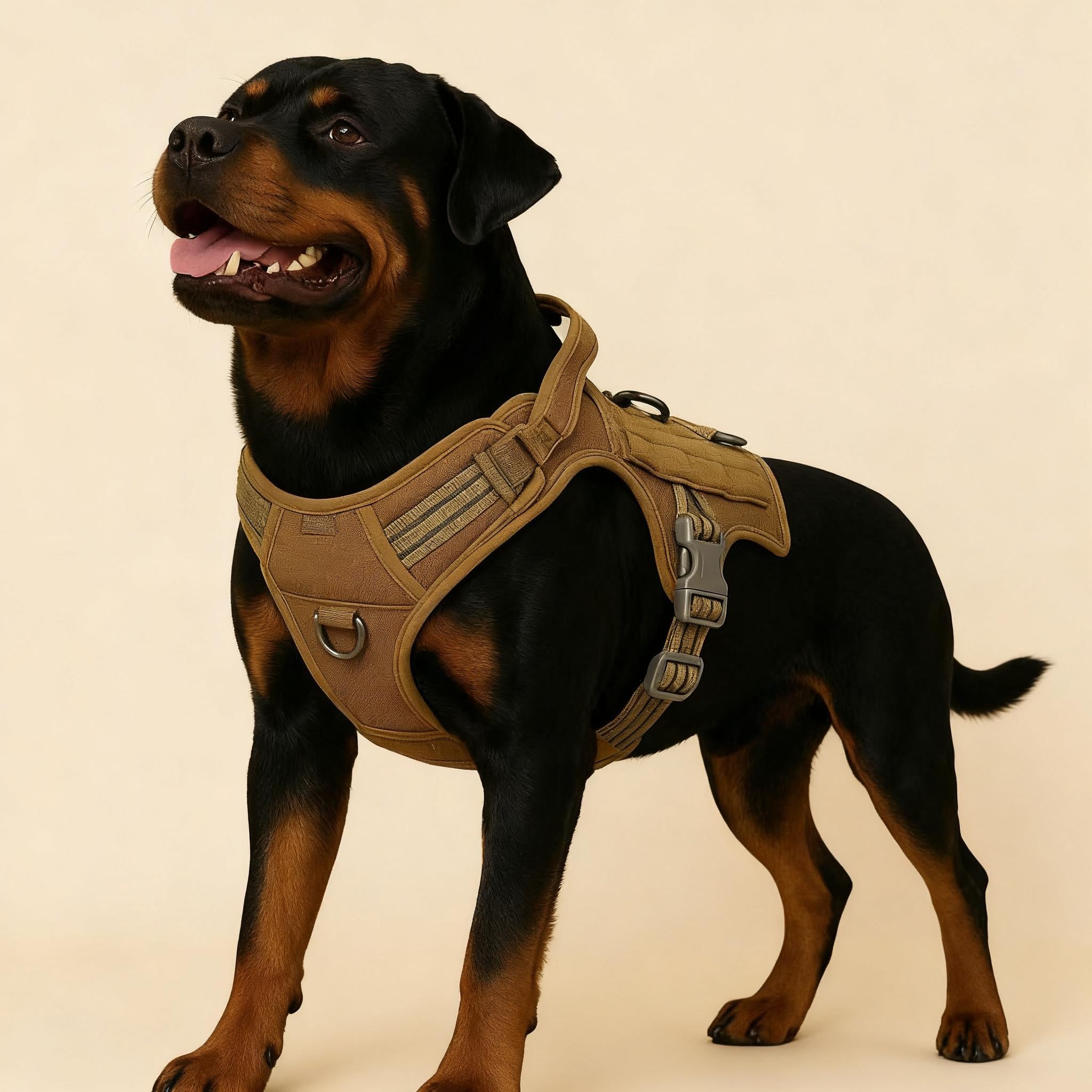 Tactical Training Dog Harness | No-Pull Front & Back Leash Points, Grab Handle, Breathable Padding (S–XL)
