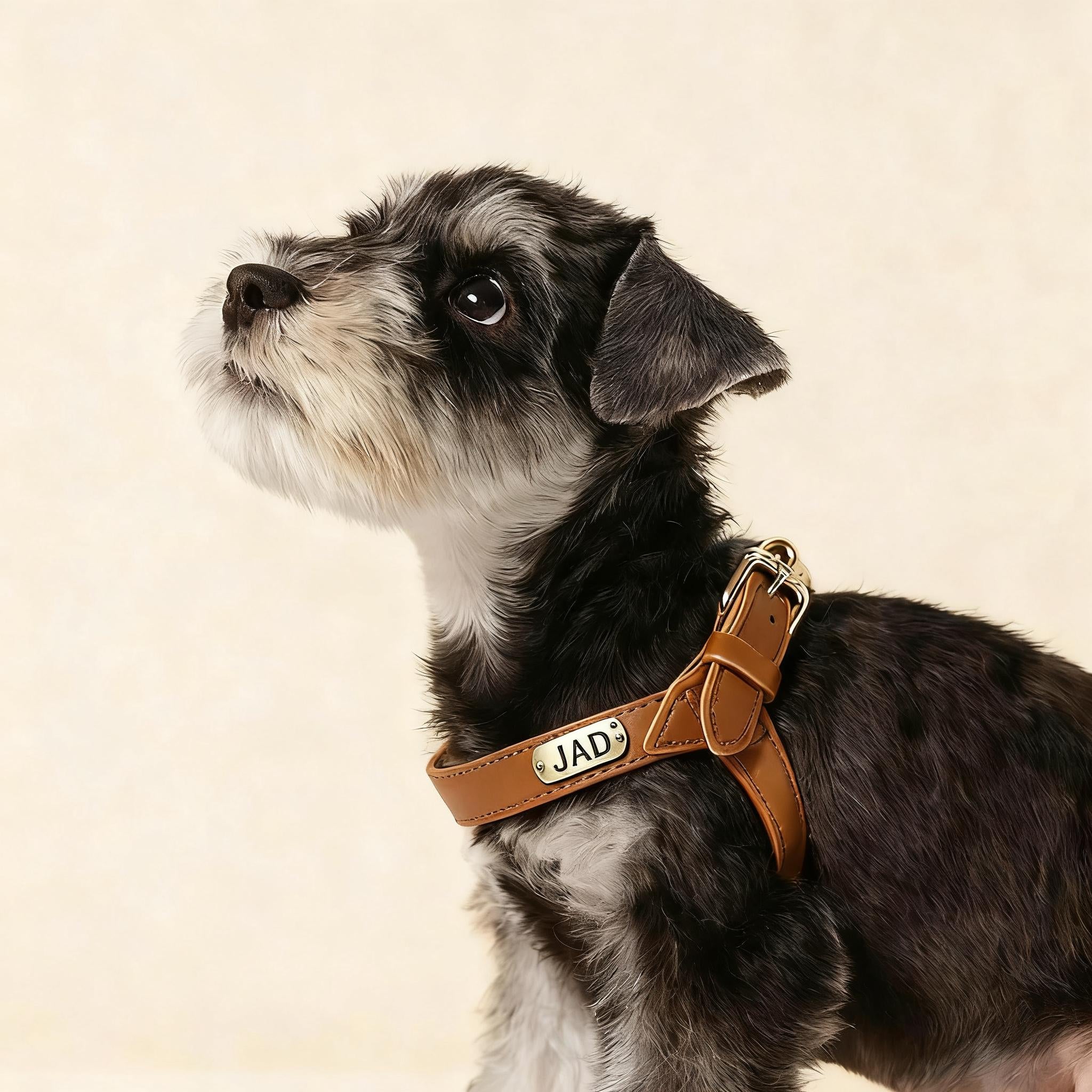 Urban Leather Walk Set (Harness + Leash) | Water-Resistant Coating, Easy-Clean, Reflect Accents(S-L)