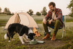 Collapsible Pet Travel Bowl (350/650ml)