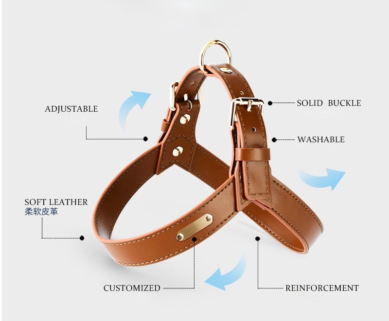 Urban Leather Walk Set (Harness + Leash) | Water-Resistant Coating, Easy-Clean, Reflect Accents(S-L)