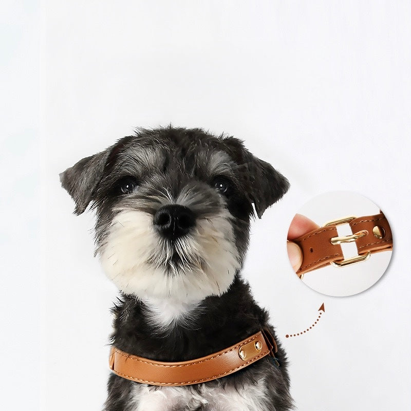 Urban Leather Walk Set (Harness + Leash) | Water-Resistant Coating, Easy-Clean, Reflect Accents(S-L)