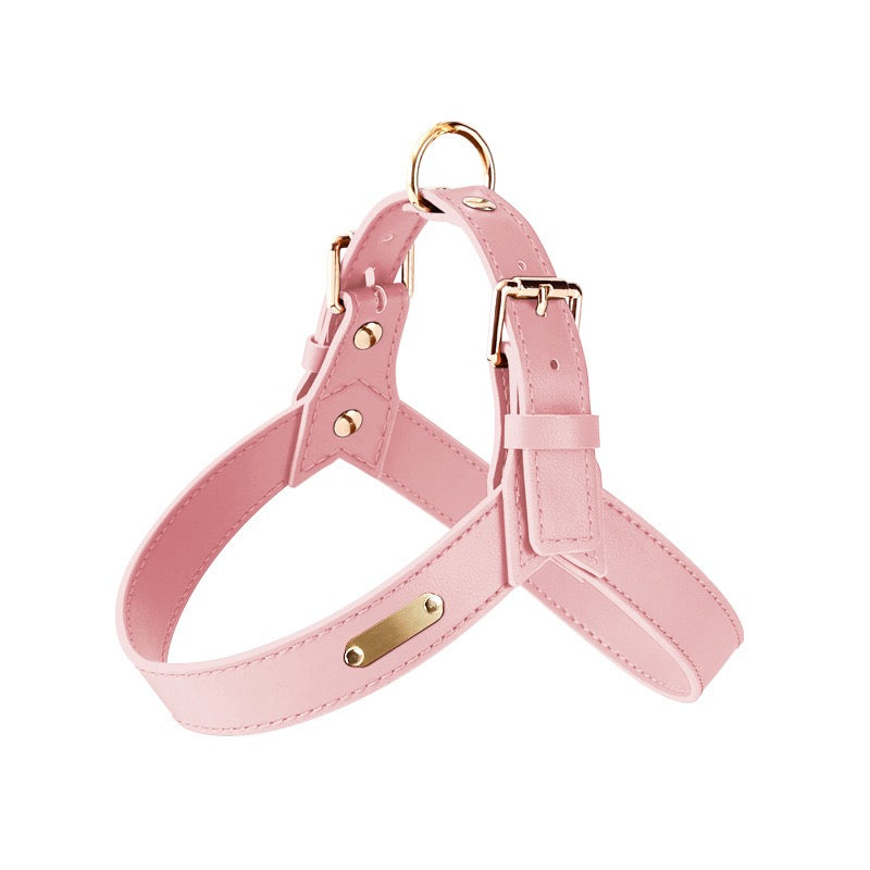 Urban Leather Harness — Water‑Resistant Finish (XS–XL)