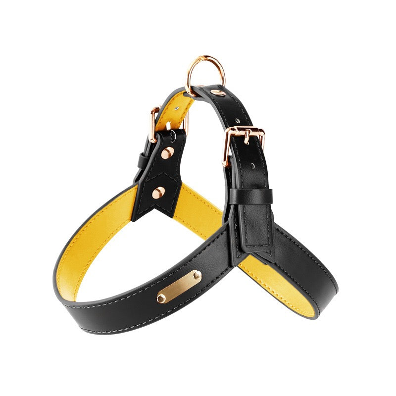 Urban Leather Harness — Water‑Resistant Finish (XS–XL)