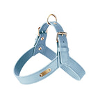 Urban Leather Harness — Water‑Resistant Finish (XS–XL)