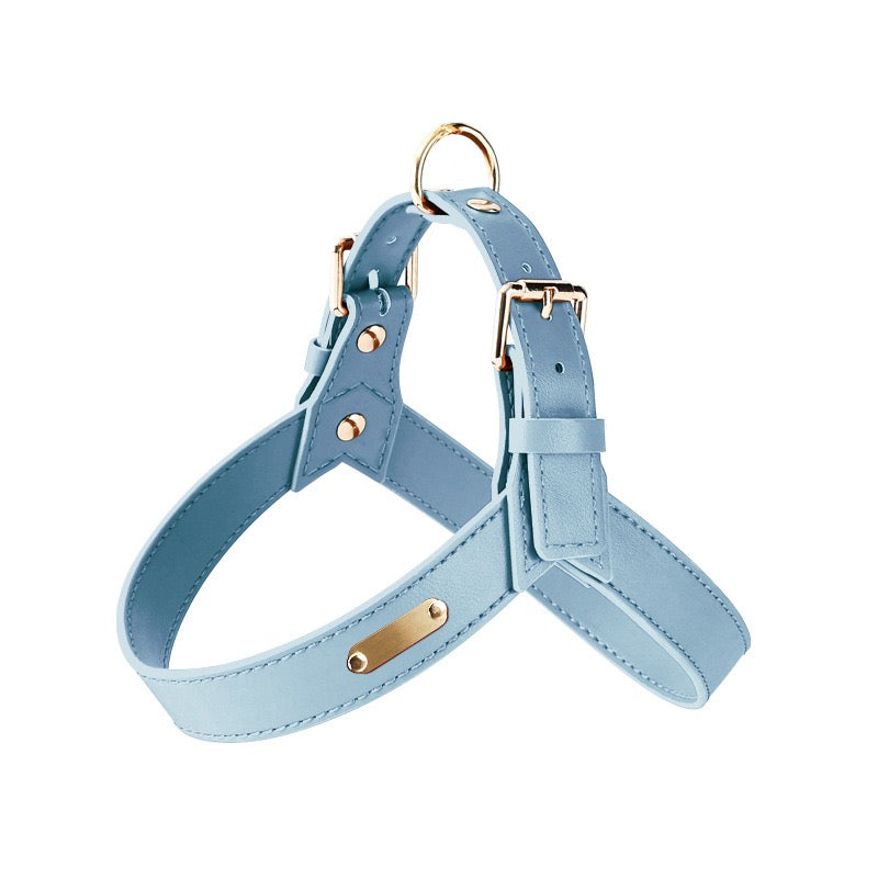 Urban Leather Harness — Water‑Resistant Finish (XS–XL)