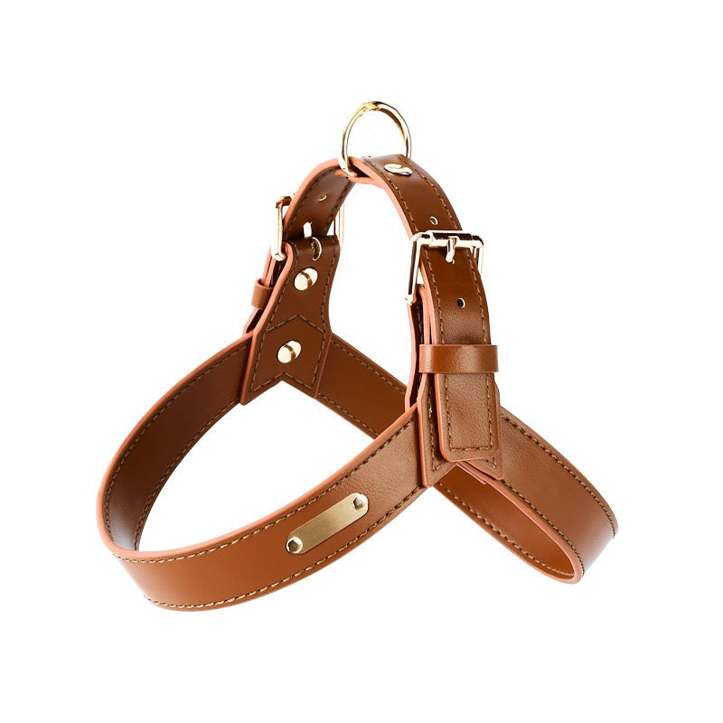 Urban Leather Harness — Water‑Resistant Finish (XS–XL)