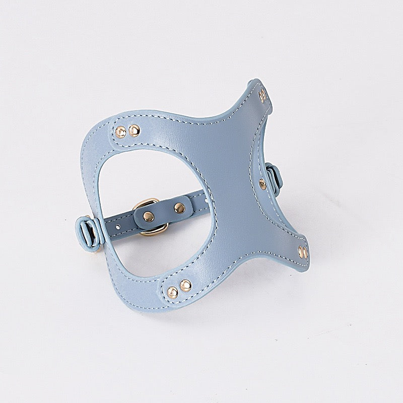 Classic Leather Harness — Soft-Padded, Anti-Chafe, Dual D-Rings (XS–L)