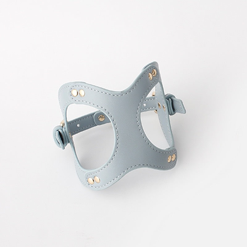 Classic Leather Harness — Soft-Padded, Anti-Chafe, Dual D-Rings (XS–L)