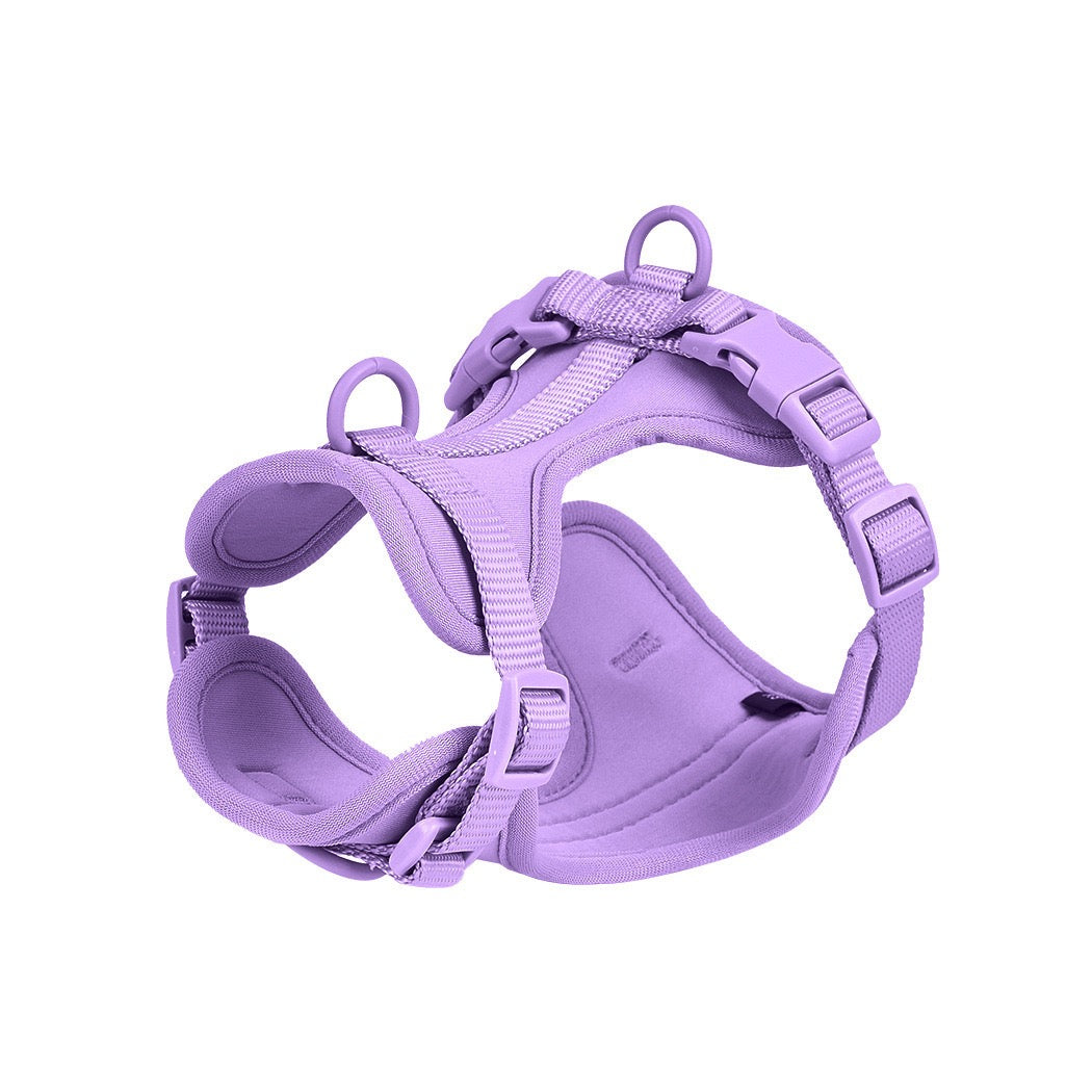 Waterproof PVC Pet Harness (XS–L)