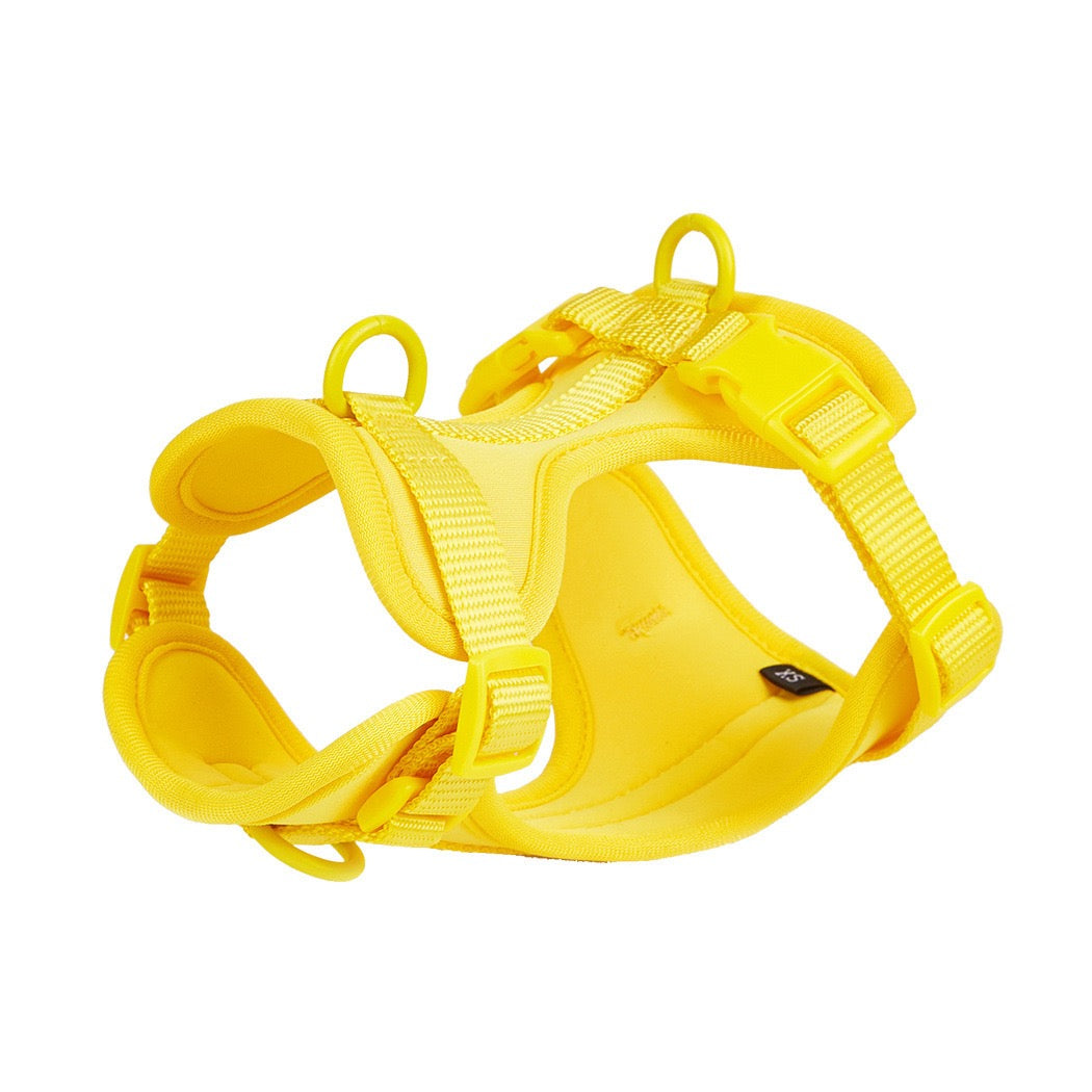 Waterproof PVC Pet Harness (XS–L)