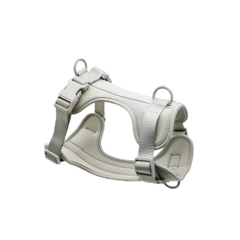 Waterproof PVC Pet Harness (XS–L)