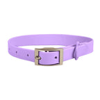 Waterproof PVC Pet Collar (XS–L)