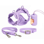 Waterproof PVC Walk Set — 4‑Piece (Harness + Leash + Collar + Waste-Bag Holder)  | Odor-Resistant, Easy-Clean, Anti-Slip Grip(XS–L)