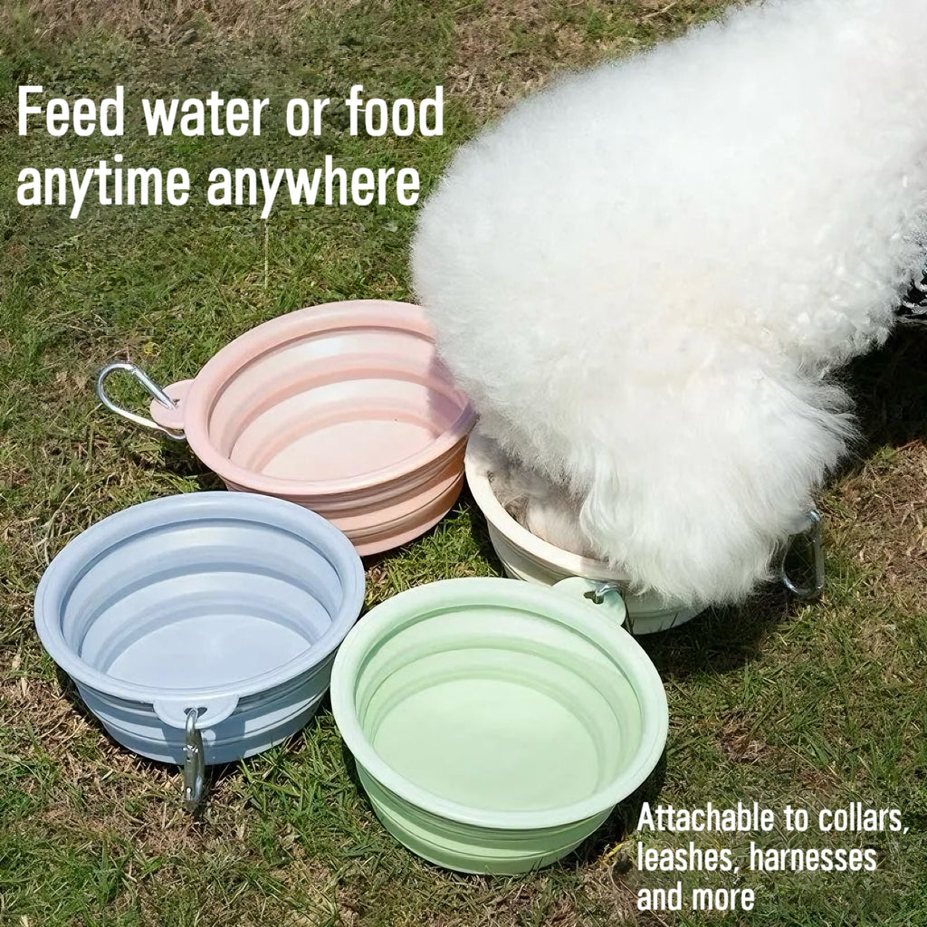 Collapsible Pet Travel Bowl (350/650ml)