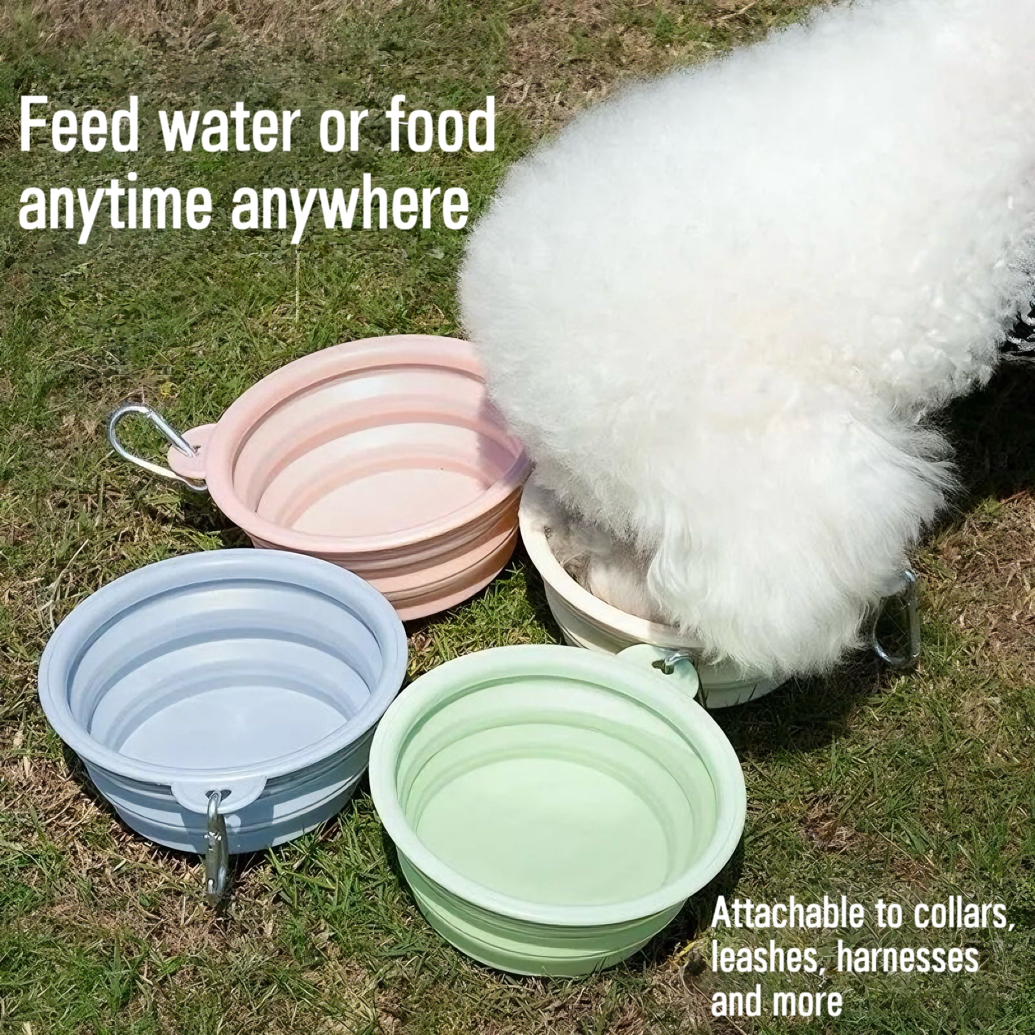 Collapsible Pet Travel Bowl (350/650ml)