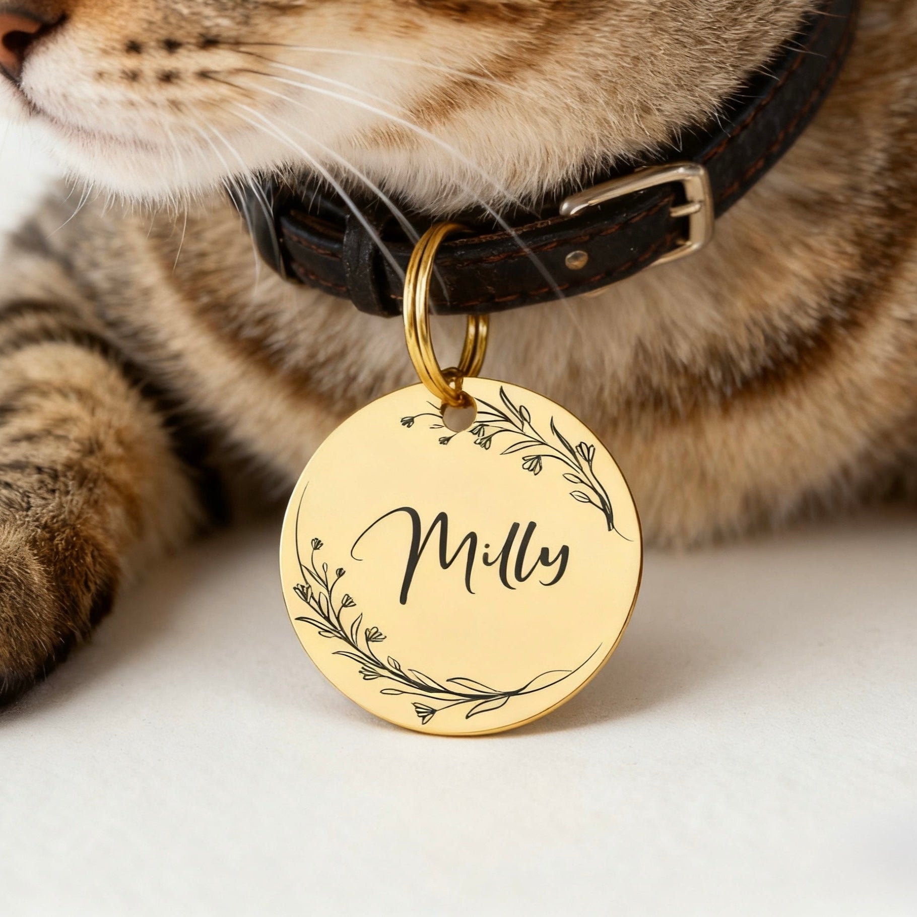 Personalized Laser-Engraved Pet Tag — Bone & Round Shapes | Custom Name & Phone | Durable Alloy, Anti-Rust Finish