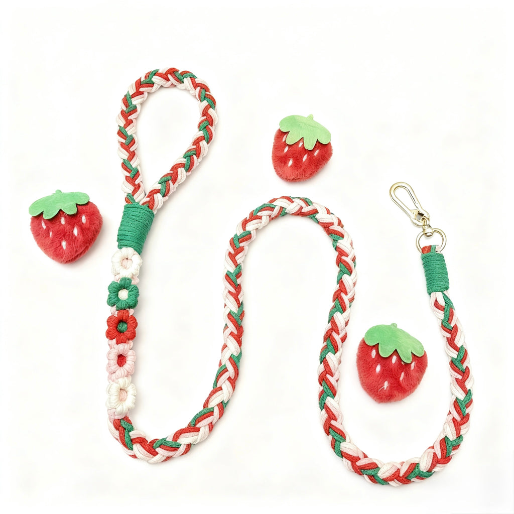 Braided Rope Leash (150 cm)