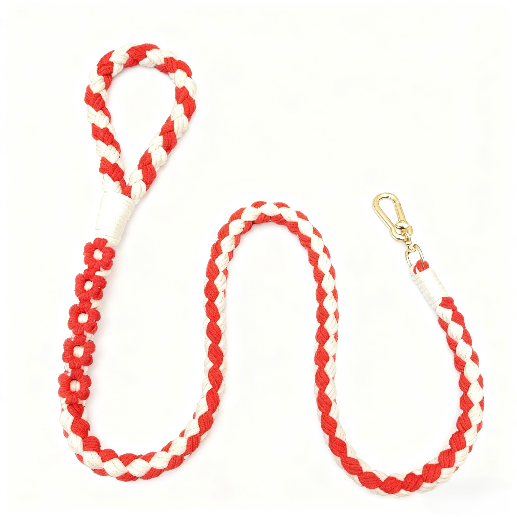 Braided Rope Leash (150 cm)