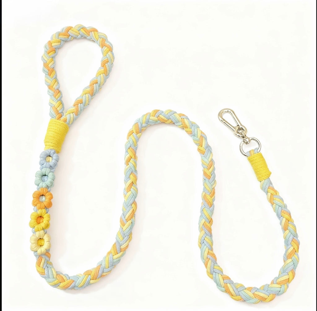 Braided Rope Leash (150 cm)