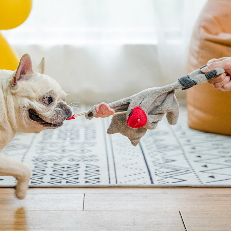 Plush Squeaky Treat Toy – Panda & Raccoon