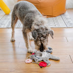 Plush Squeaky Treat Toy – Panda & Raccoon