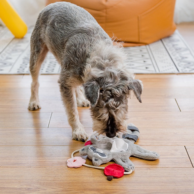Plush Squeaky Treat Toy – Panda & Raccoon