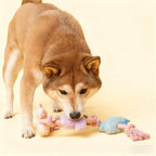 Rope‑Knot Plush Dog Toy — Crinkle + Squeaker | 57×9 cm