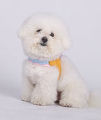 Adjustable Dog Harness – Polyester (4 Colors)