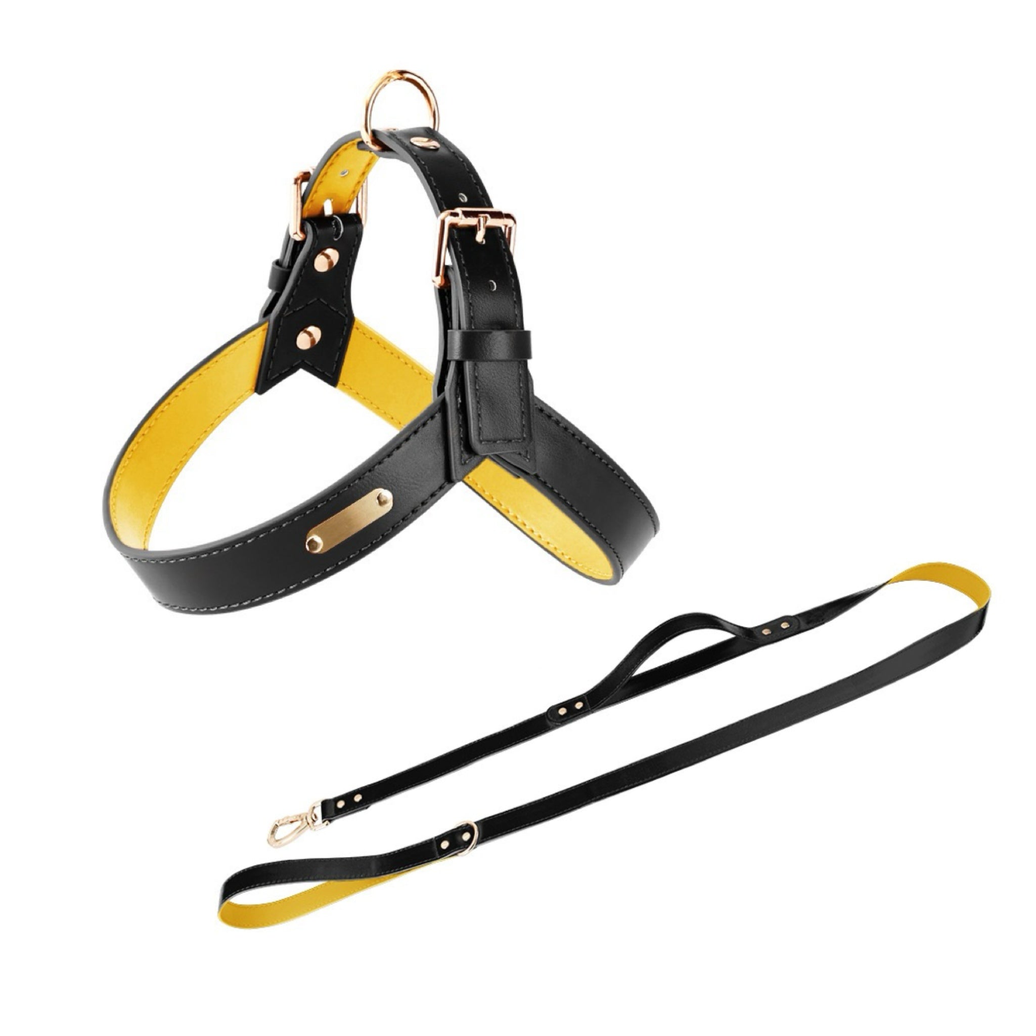 Urban Leather Walk Set (Harness + Leash) | Water-Resistant Coating, Easy-Clean, Reflect Accents(S-L)