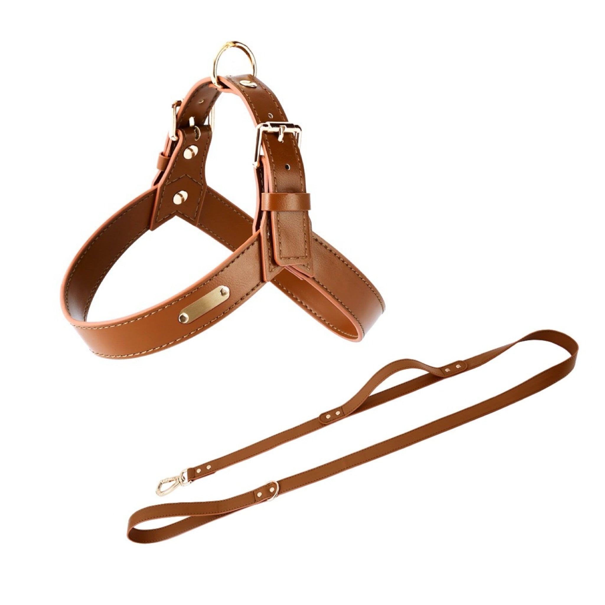 Urban Leather Walk Set (Harness + Leash) | Water-Resistant Coating, Easy-Clean, Reflect Accents(S-L)
