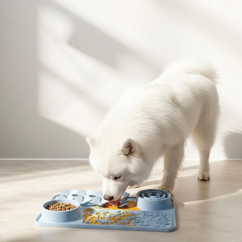 Multifunctional Pet Slow-Feeding Mat — Food-Grade Silicone, Anti-Slip | Easy-Clean, Dishwasher-Safe | 425×285×7mm